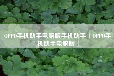 OPPO手机助手电脑版手机助手「OPPO手机助手电脑版」