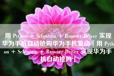 用 Python + Selenium + Browser Driver 实现华为手机自动抢购华为手机驱动「用 Python + Selenium + Browser Driver 实现华为手机自动抢购」