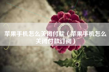 苹果手机怎么关闭付款（苹果手机怎么关闭付款订阅）