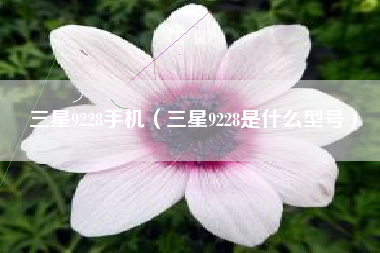 三星9228手机（三星9228是什么型号）