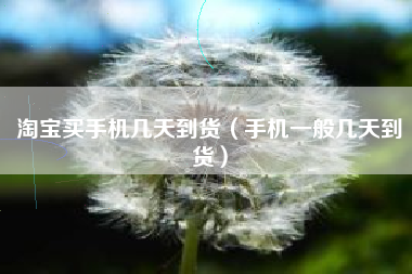 淘宝买手机几天到货（手机一般几天到货）