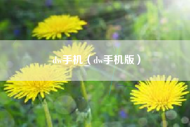 dw手机（dw手机版）