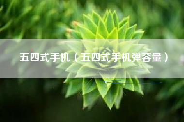 五四式手机（五四式手机弹容量）