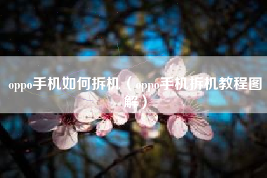 oppo手机如何拆机（oppo手机拆机教程图解）
