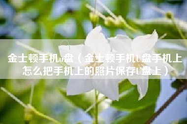 金士顿手机u盘（金士顿手机U盘手机上怎么把手机上的照片保存U盘上）