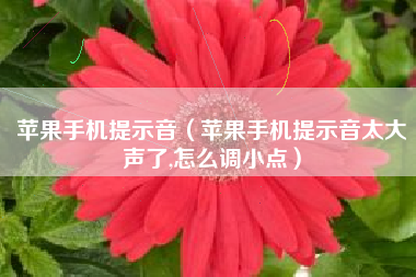 苹果手机提示音（苹果手机提示音太大声了,怎么调小点）