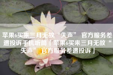 苹果6买来三月无故“失声” 官方服务差遭投诉手机听筒「苹果6买来三月无故“失声” 官方服务差遭投诉」