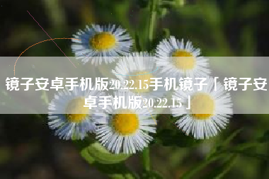 镜子安卓手机版20.22.15手机镜子「镜子安卓手机版20.22.15」