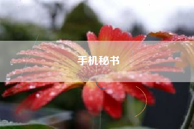 手机秘书
