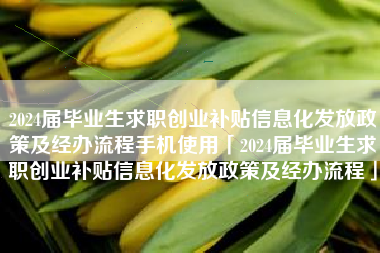 2024届毕业生求职创业补贴信息化发放政策及经办流程手机使用「2024届毕业生求职创业补贴信息化发放政策及经办流程」