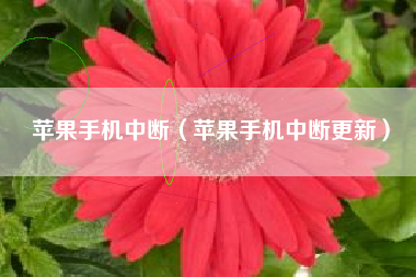 苹果手机中断（苹果手机中断更新）