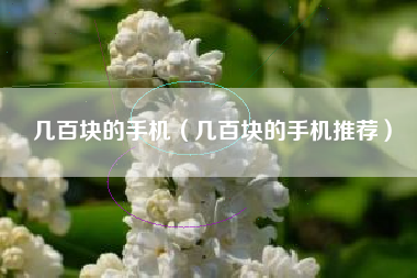 几百块的手机（几百块的手机推荐）