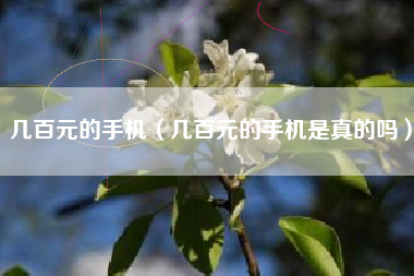几百元的手机（几百元的手机是真的吗）