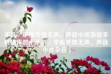 手机／平板外放无声、声音小或杂音手机扬声器「手机／平板外放无声、声音小或杂音」