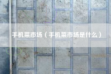手机菜市场（手机菜市场是什么）