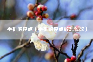 手机触控点（手机触控点数怎么改）