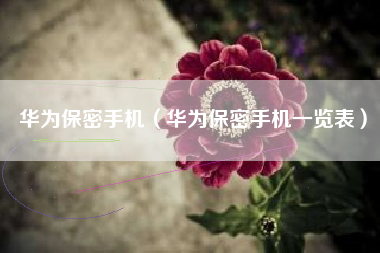 华为保密手机（华为保密手机一览表）