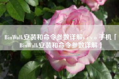 BinWalk安装和命令参数详解v i v o 手机「BinWalk安装和命令参数详解」