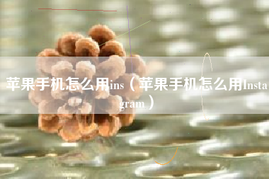 苹果手机怎么用ins（苹果手机怎么用Instagram）