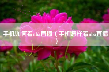 手机如何看nba直播（手机怎样看nba直播）