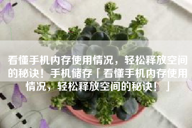 看懂手机内存使用情况，轻松释放空间的秘诀！手机储存「看懂手机内存使用情况，轻松释放空间的秘诀！」