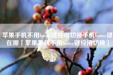 苹果手机不用home键应用切换手机home键在哪「苹果手机不用home键应用切换」