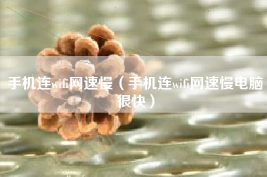 手机连wifi网速慢（手机连wifi网速慢电脑很快）