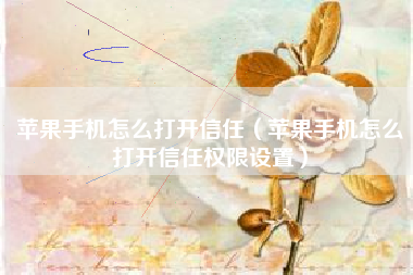 苹果手机怎么打开信任（苹果手机怎么打开信任权限设置）