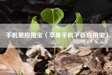 手机里应用宝（苹果手机下载应用宝）