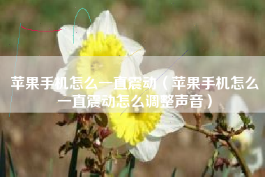 苹果手机怎么一直震动（苹果手机怎么一直震动怎么调整声音）