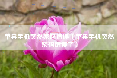 苹果手机突然密码错误（苹果手机突然密码错误了）
