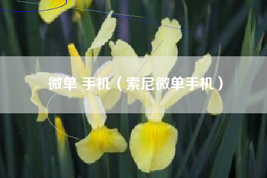 微单 手机（索尼微单手机）