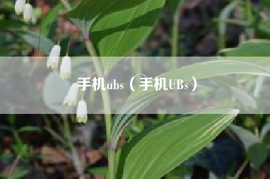 手机ubs（手机UBs）