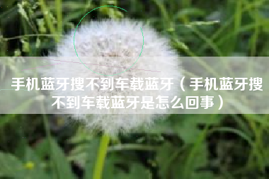 手机蓝牙搜不到车载蓝牙（手机蓝牙搜不到车载蓝牙是怎么回事）
