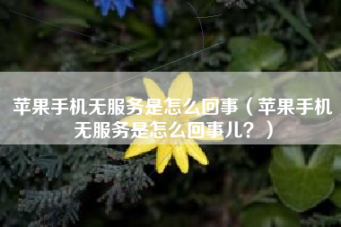 苹果手机无服务是怎么回事（苹果手机无服务是怎么回事儿？）
