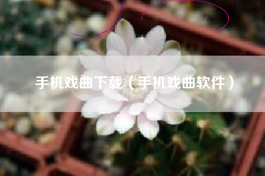 手机戏曲下载（手机戏曲软件）
