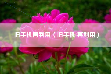 旧手机再利用（旧手机 再利用）