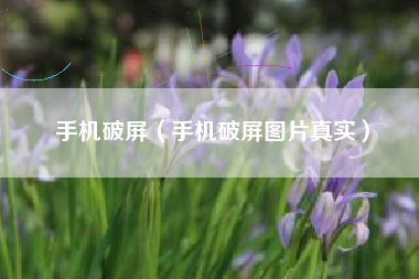 手机破屏（手机破屏图片真实）