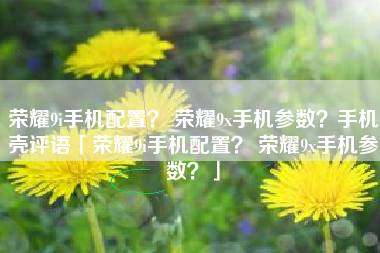 荣耀9i手机配置？ 荣耀9x手机参数？手机壳评语「荣耀9i手机配置？ 荣耀9x手机参数？」