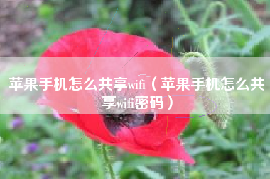 苹果手机怎么共享wifi（苹果手机怎么共享wifi密码）