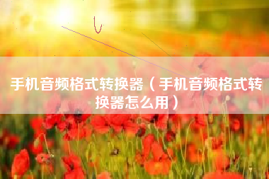 手机音频格式转换器（手机音频格式转换器怎么用）
