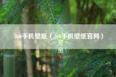 360手机壁纸（360手机壁纸官网）