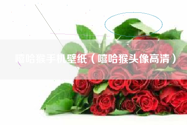 嘻哈猴手机壁纸（嘻哈猴头像高清）