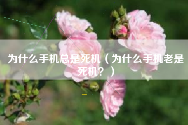为什么手机总是死机（为什么手机老是死机？）