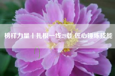 榜样力量丨扎根一线29载 匠心锤炼技能