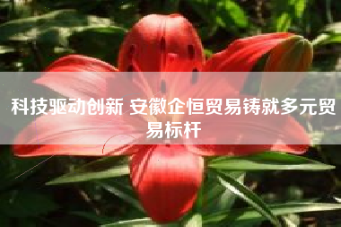 科技驱动创新 安徽企恒贸易铸就多元贸易标杆
