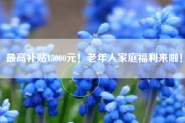 最高补贴15000元！老年人家庭福利来啦！