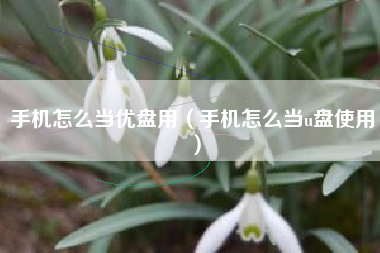 手机怎么当优盘用（手机怎么当u盘使用）