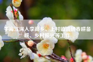 牛海江深入李高乡、上村镇调研春耕备耕、乡村振兴等工作