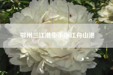 鄂州三江港牵手浙江舟山港